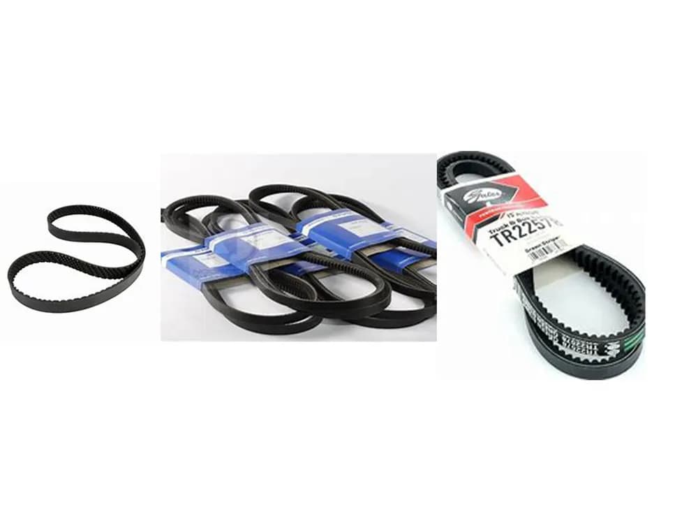 Fan Belt
